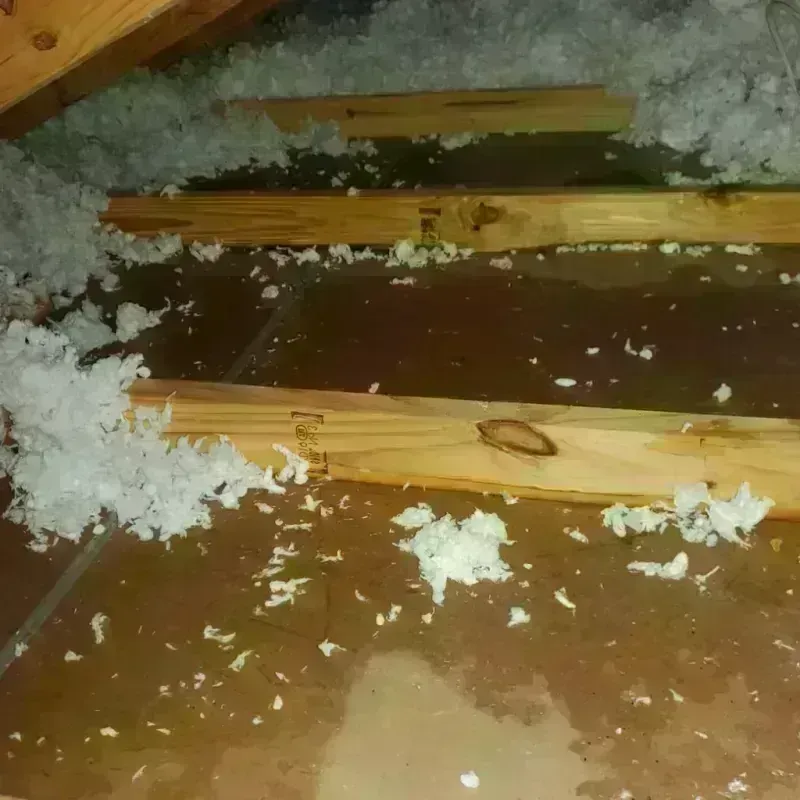 Attic Water Damage in Westwood, NJ