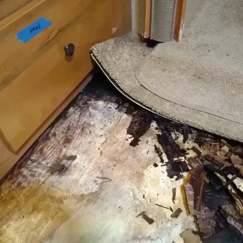 Wood Floor Water Damage in Westwood, NJ